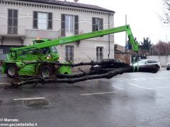 Un grande albero è crollato, ostruendo corso Michele Coppino ad Alba 8