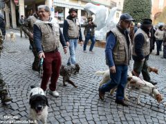 È chiusa la stagione del bianco d