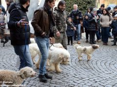 È chiusa la stagione del bianco d