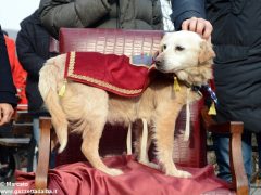 È chiusa la stagione del bianco d