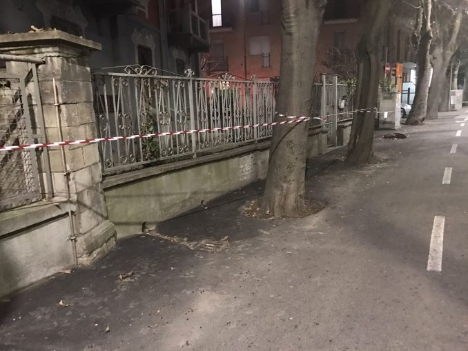 Alba: in corso l'abbattimento di alberi in corso Coppino 1