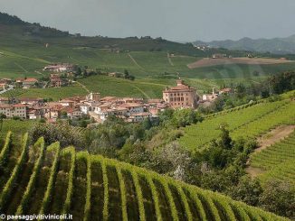 Unesco: gli incontri dell’Associazione per il patrimonio dei paesaggi vitivinicoli