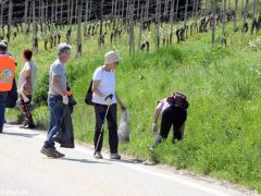 Gli ecologisti lanciano un’altra proposta: “Un euro un sogno" 2