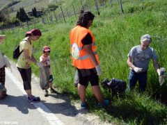 Gli ecologisti lanciano un’altra proposta: “Un euro un sogno" 4