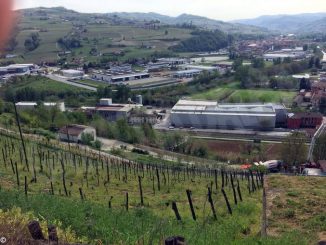 Nocciole: a Santo Stefano Belbo rinasce l'azienda di sgusciatura Barbero