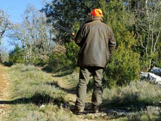 La Regione Piemonte vieta la caccia a 15 ulteriori specie