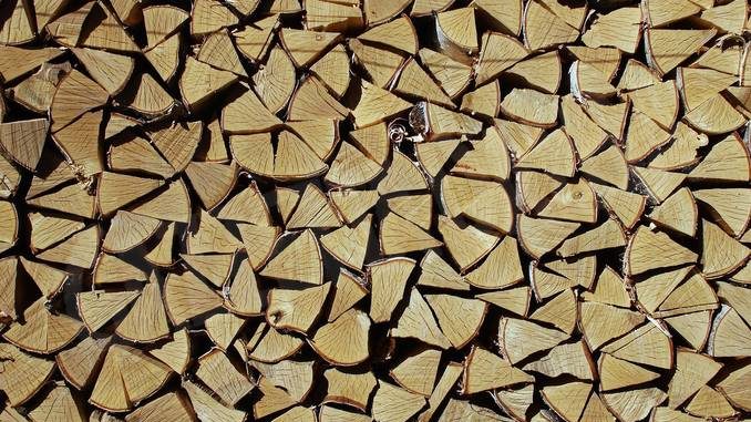 I carabinieri forestali denunciano un nuovo che aveva tagliato legna a Castello d’Annone