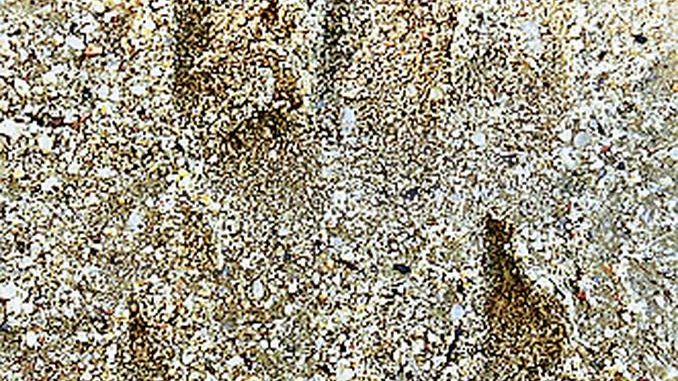 Una misteriosa impronta, trovata nel Canalese, incuriosisce il Web