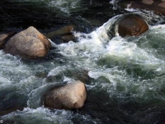 I carabinieri forestali astigiani individuano un invaso abusivo