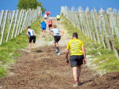 Oltre 200 podisti al Trail delle rocche: ecco le foto più belle 3