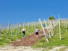 Oltre 200 podisti al Trail delle rocche: ecco le foto più belle 8