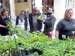Folla in festa a Canale per Bun ben bun e bel. Ecco le foto 3