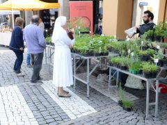 Folla in festa a Canale per Bun ben bun e bel. Ecco le foto 8