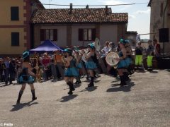 Vivacissima domenica alla fiera di primavera di Priocca. Le foto 11