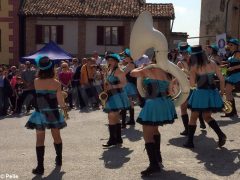 Vivacissima domenica alla fiera di primavera di Priocca. Le foto 12