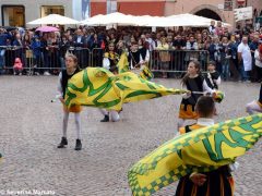 Spettacolo di sbandieratori e musici ad Alba per Bandiere per un amico 15