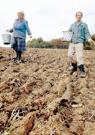 Rendiamoci conto che è sempre Dio a far crescere