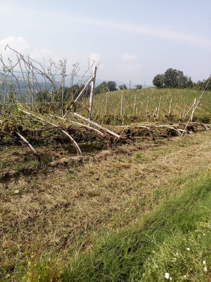 Maltempo: le prime stime dei danni causati da vento e grandine 1