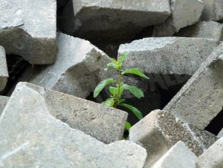 Consumo del suolo: addio a cento ettari ogni giorno