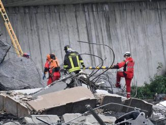 I cinofili dell'Anc di Alba intervengono a Genova 3