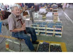 Faccenda resta a capo del Mercato che muta 8