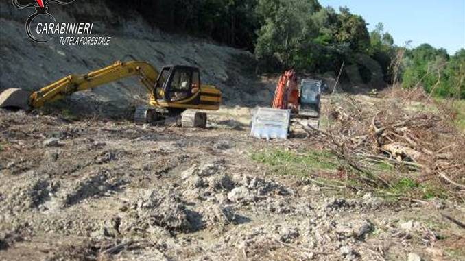 Narzole: i carabinieri forestali bloccano lavori non autorizzati di abbatimento di un bosco
