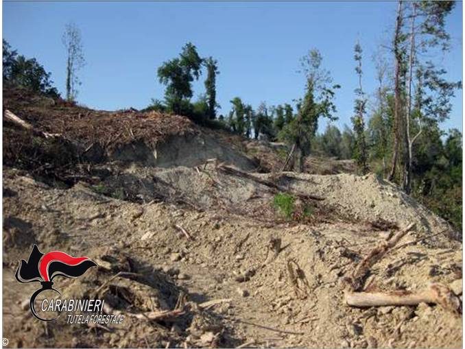 Narzole: i carabinieri forestali bloccano lavori non autorizzati di abbatimento di un bosco 1