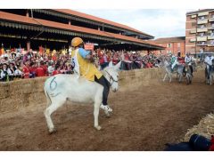 Doppia vittoria per Borgo Moretta. Ecco le foto di palio e sfilata 51