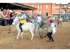 Doppia vittoria per Borgo Moretta. Ecco le foto di palio e sfilata 52