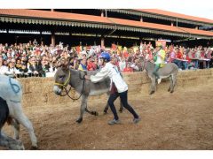 Doppia vittoria per Borgo Moretta. Ecco le foto di palio e sfilata 53