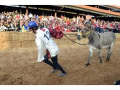 Doppia vittoria per Borgo Moretta. Ecco le foto di palio e sfilata 54