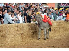 Doppia vittoria per Borgo Moretta. Ecco le foto di palio e sfilata 55