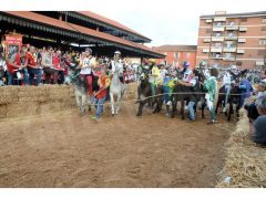 Doppia vittoria per Borgo Moretta. Ecco le foto di palio e sfilata 57