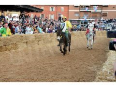 Doppia vittoria per Borgo Moretta. Ecco le foto di palio e sfilata 58