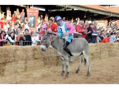 Doppia vittoria per Borgo Moretta. Ecco le foto di palio e sfilata 43