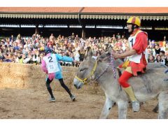 Doppia vittoria per Borgo Moretta. Ecco le foto di palio e sfilata 44