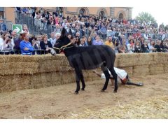 Doppia vittoria per Borgo Moretta. Ecco le foto di palio e sfilata 45