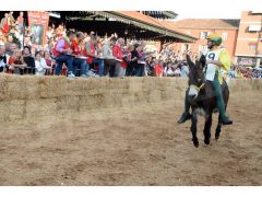 Doppia vittoria per Borgo Moretta. Ecco le foto di palio e sfilata 46