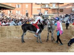 Doppia vittoria per Borgo Moretta. Ecco le foto di palio e sfilata 47