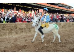 Doppia vittoria per Borgo Moretta. Ecco le foto di palio e sfilata 48