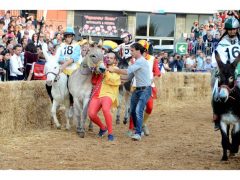 Doppia vittoria per Borgo Moretta. Ecco le foto di palio e sfilata 49