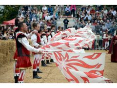 Doppia vittoria per Borgo Moretta. Ecco le foto di palio e sfilata 15