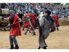 Doppia vittoria per Borgo Moretta. Ecco le foto di palio e sfilata 23