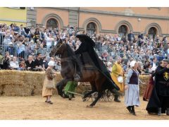 Doppia vittoria per Borgo Moretta. Ecco le foto di palio e sfilata 26