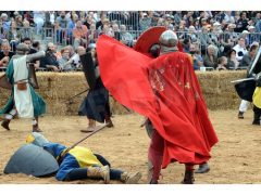 Doppia vittoria per Borgo Moretta. Ecco le foto di palio e sfilata 28