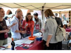 Una folla di appassionati alla 20ª Festa del vino, ecco le foto 1