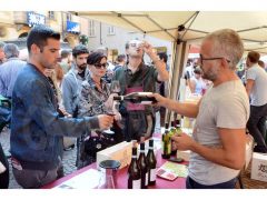 Una folla di appassionati alla 20ª Festa del vino, ecco le foto 6