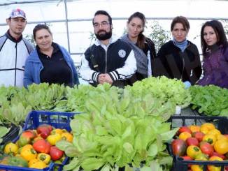 Siagri: la dignità cresce con il lavoro nel verde 4