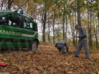 Denunciati due pregiudicati per abbandono di rifiuti speciali a Neive