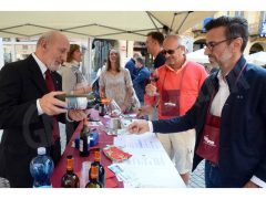 Una folla di appassionati alla 20ª Festa del vino, ecco le foto 5